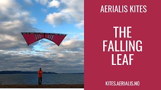 Tutorial Flying Leaf - Video Card
