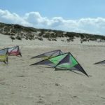 Nirvanas for team flying