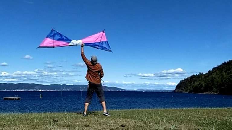 Catch the diving kite!