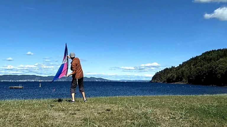 Throw it away from you downwind and start flying as the lines go tight