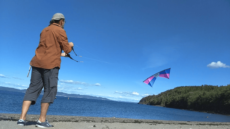 Fly the kite to the top of the wind window and tug sharply on the upper lines