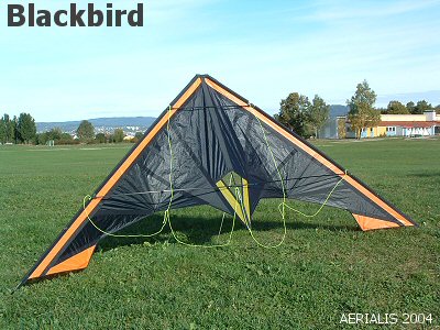 Blackbird