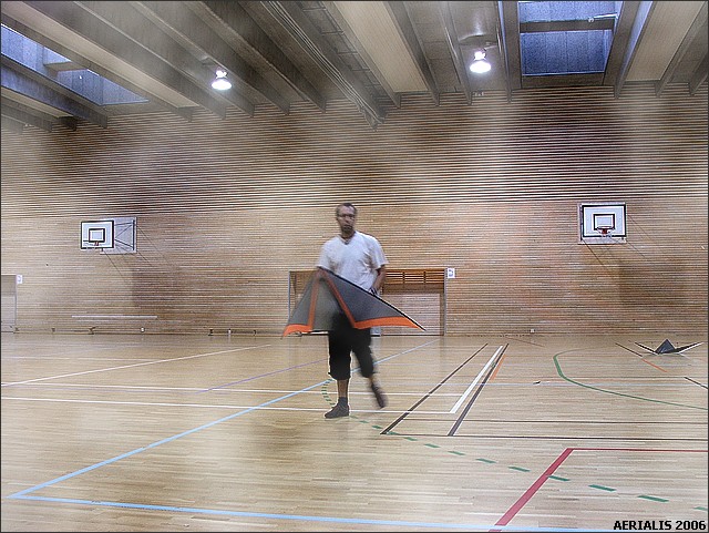 Yes, this IS a great little indoor kite!