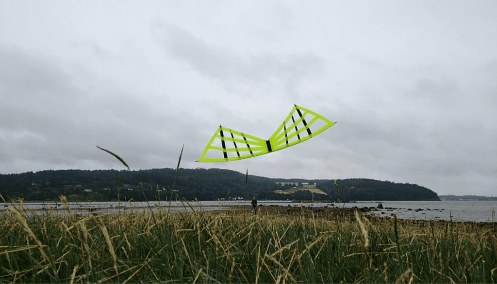 Stable inverted hover