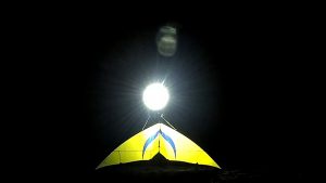 A Yellow Sweety in the Dark