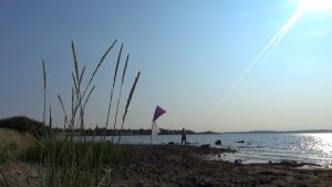 Flying the Zaephay in light winds at Refsnes