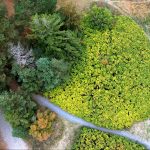 Green perspective