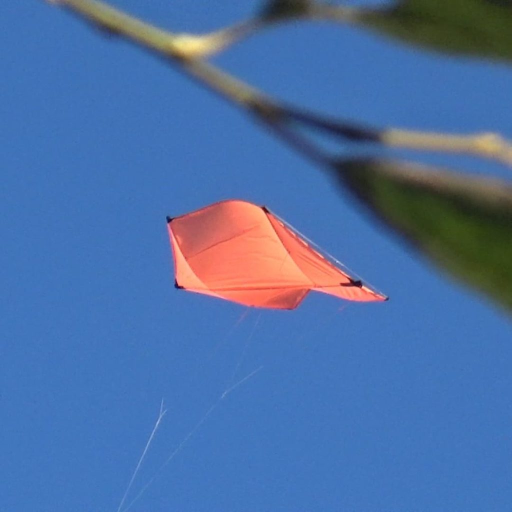 The orange one