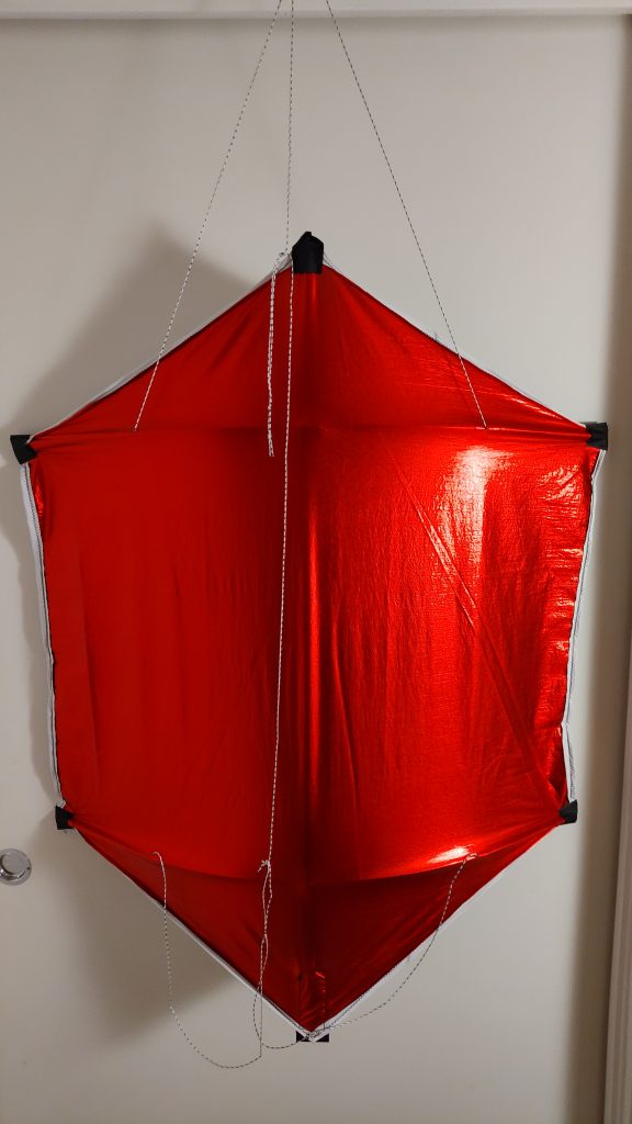 The big Red and Shiny's little sister
