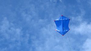 Flying the blue Rok'