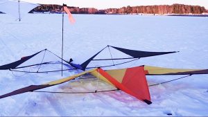 A couple of Old School Kites