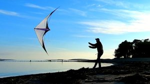 Windless Feather on the Beach