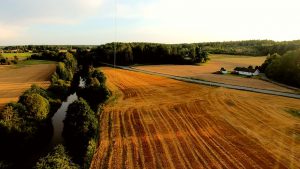 KAP - Kite flying in the golden field