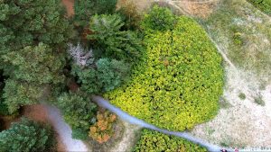 Green perspective