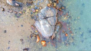 Where the Water Meets the Land