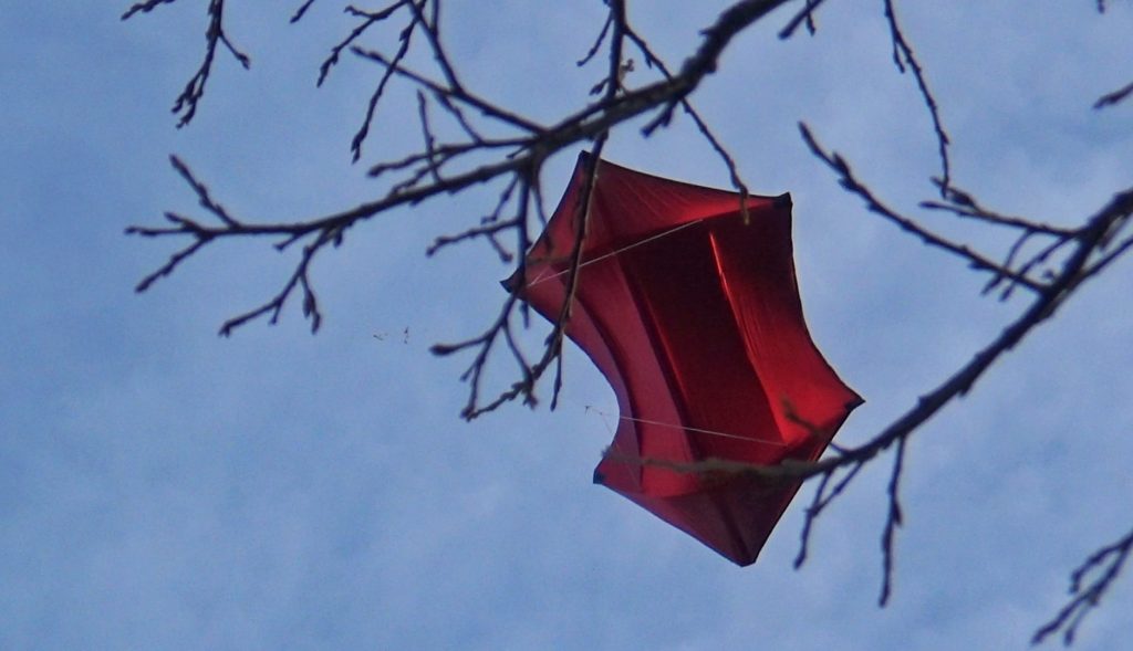 The Big, Red and Shiny through the branches