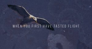 When you first have tasted flight