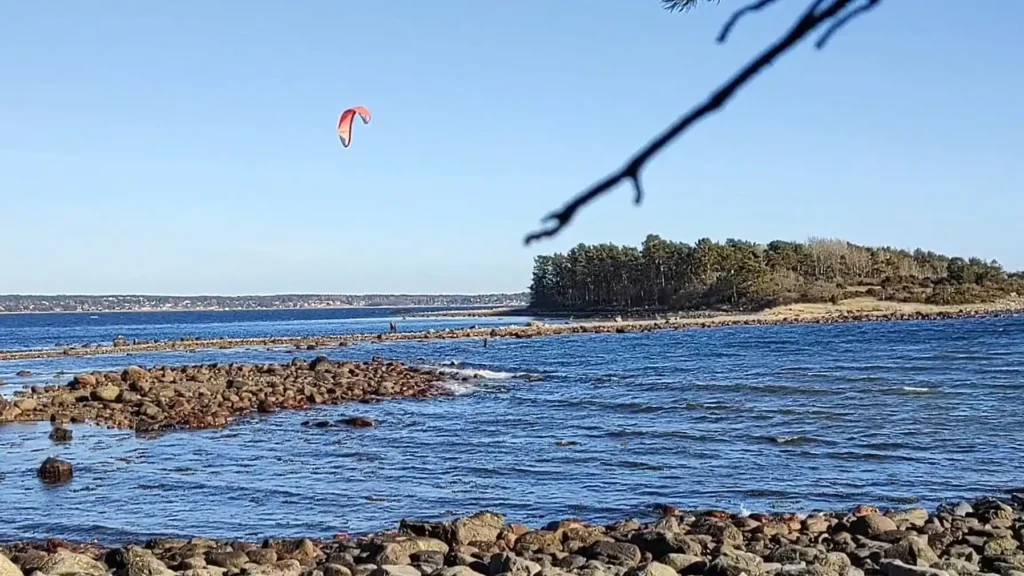 One of many kitesurfers out there