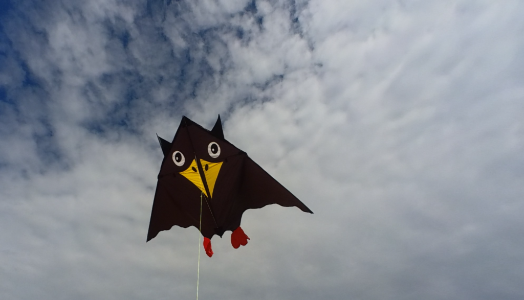 The Crow Kite