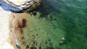 Swimming in the fjord at Saltholmen