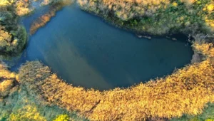 October KAP Refsnes