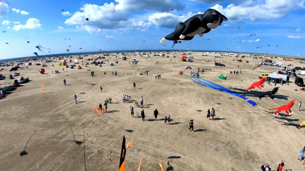 Big inflatable cat at the Rømø Kite Festival 2021