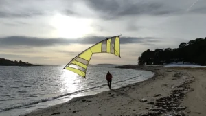 Yellow 2 x Vented Quad Kite