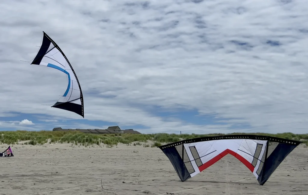 New kites from Kiteforge - the Djuice Standard and Vented