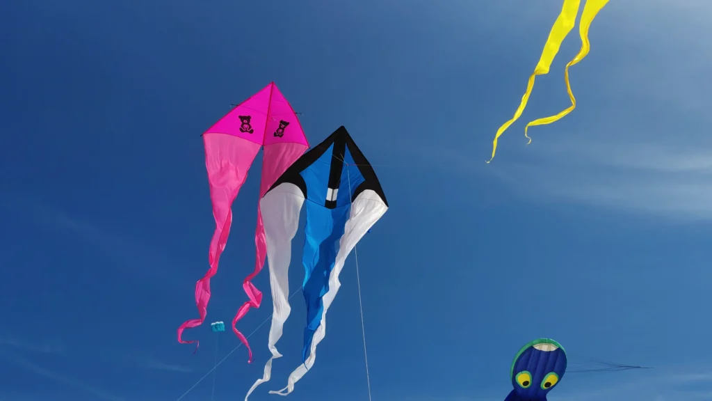 Two delta shaped single lined kites