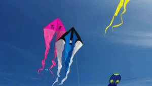 Two delta shaped single lined kites